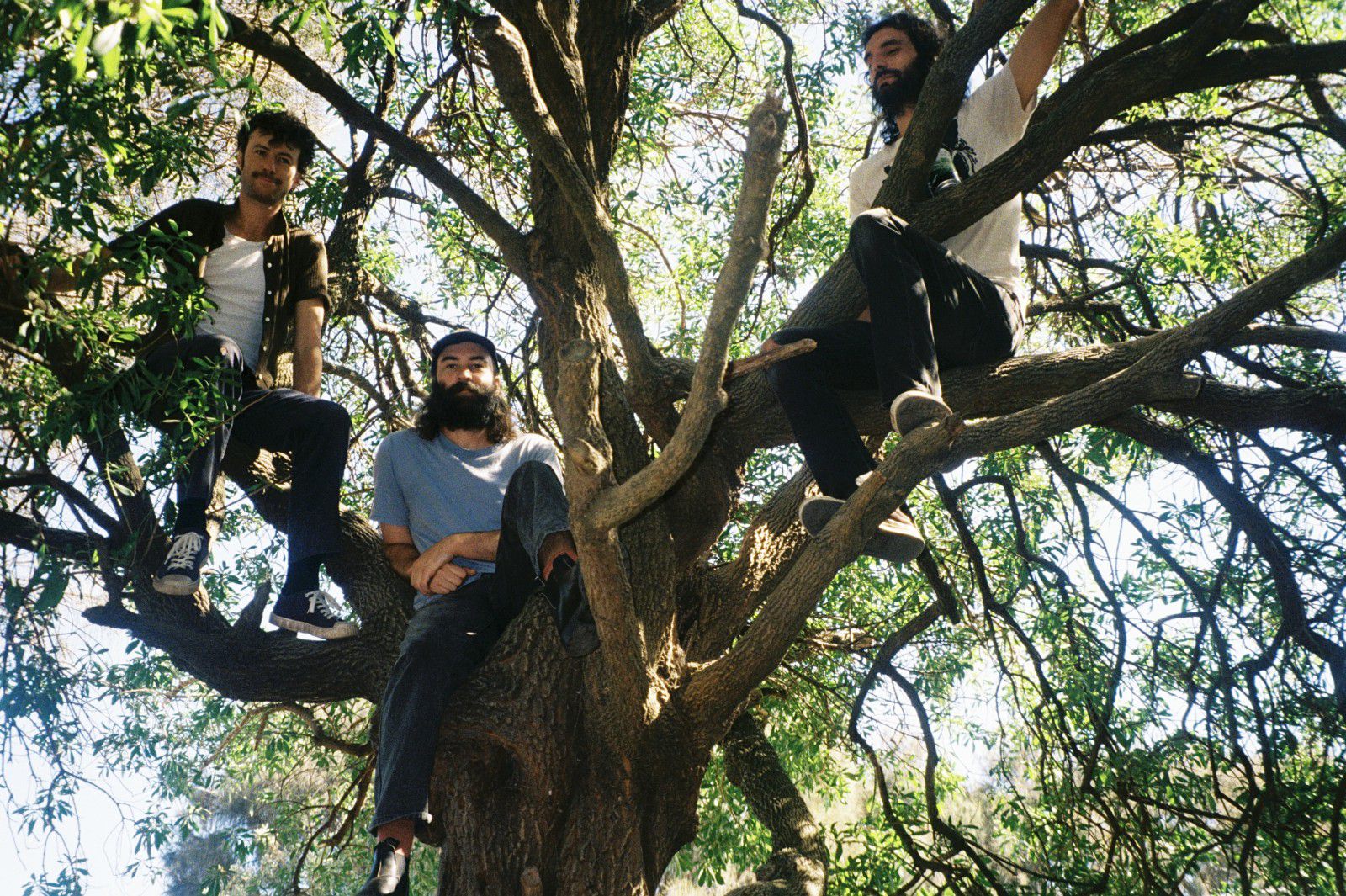 Live on Stage in 2026: ORB - STONED FROM THE UNDERGROUND